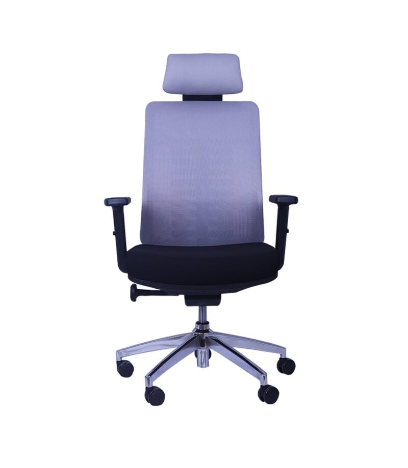 Spine Ergonomic Executive Office Chair in Black Color (Grey Mesh) - Image 2