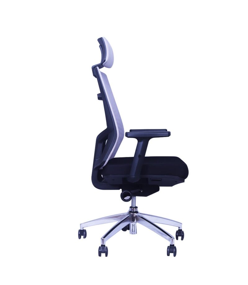 Spine Ergonomic Executive Office Chair in Black Color (Grey Mesh) - Image 3