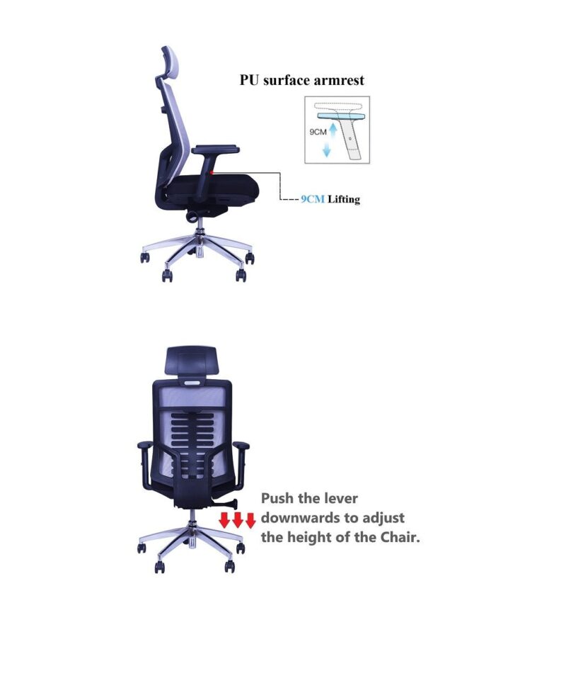 Spine Ergonomic Executive Office Chair in Black Color (Grey Mesh) - Image 6