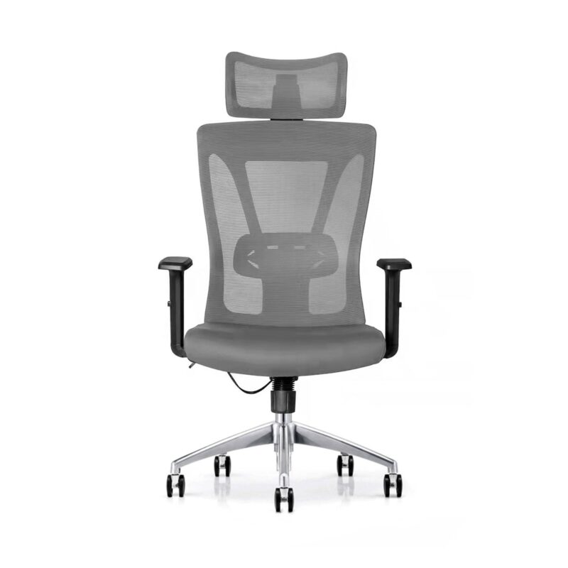 ErgoHuman High Back Office Chair in Grey Color with Headrest - Image 2